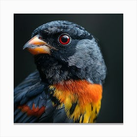 Close up of Exotic Bird Canvas Print