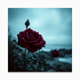 Dark Roses Canvas Print