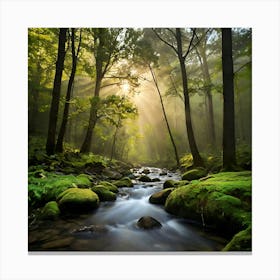 Stream In The Forest Canvas Print