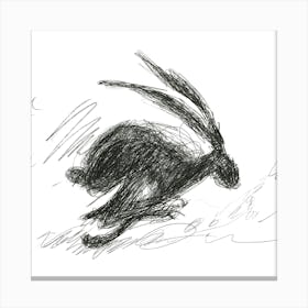 Hare Running Canvas Print
