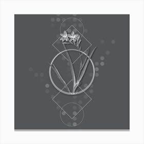 Vintage Gladiolus Cardinalis Botanical with Line Motif and Dot Pattern in Ghost Gray Canvas Print