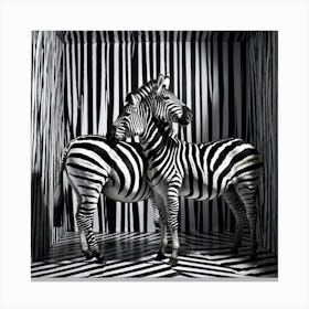 Zebra Caught In The Middle Of A Hypnotic Illusion As Its Black And White Stripes Never End But Conti Canvas Print