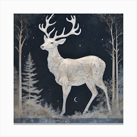 Deer At Night Canvas Print