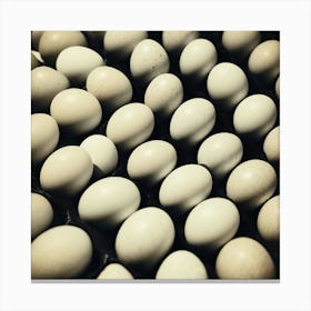 White Eggs In A Tray Canvas Print