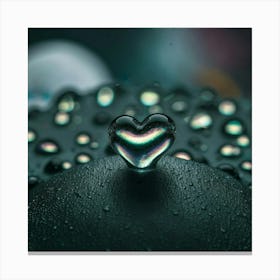 Water Drop Heart Canvas Print