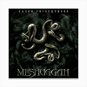 Meshuggah 5 Canvas Print