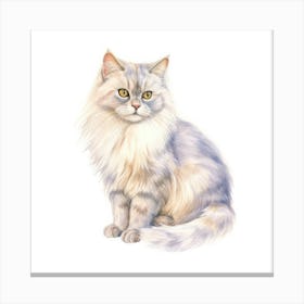 Burmilla Longhair Cat Portrait Canvas Print