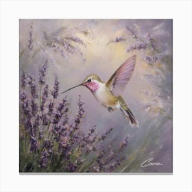 Hummingbird In Lavender Canvas Print