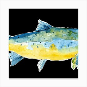 Salmon 1 Canvas Print