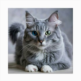 Russian Cat - Blue Eyes Canvas Print