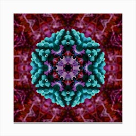 Berries mandala Canvas Print