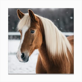 Horse In The Snow 4 Canvas Print