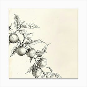 Tomato On A Branch Canvas Print