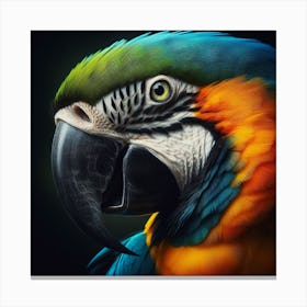 Portrait Of A Parrot Canvas Print