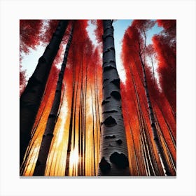 Red Aspen Trees Canvas Print