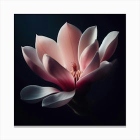 Magnolia Flower 3 Canvas Print