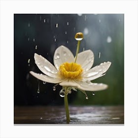 Lotus Flower In The Rain 1 Canvas Print