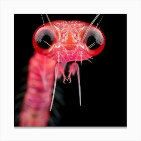 Red Flies Head Canvas Print