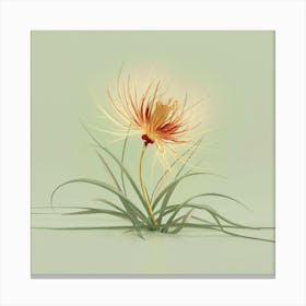 Hibiscus Flower Canvas Print