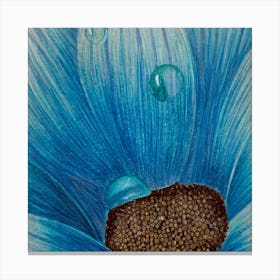Blue Gerbera 2 Canvas Print
