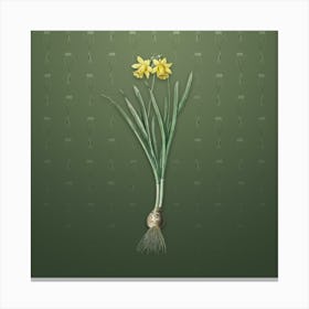 Vintage Lesser Wild Daffodil Botanical on Lunar Green Pattern Canvas Print