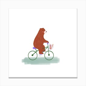 Cycling Brown Bear Square Canvas Print