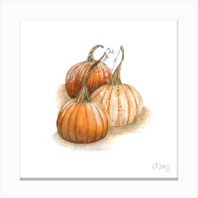 Pumpkins. 1 Canvas Print