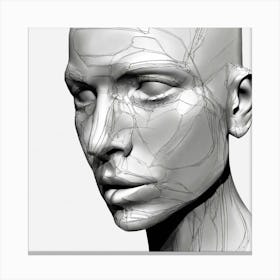 Woman'S Head 3 Canvas Print