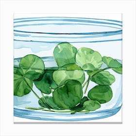 Shamrock Canvas Print