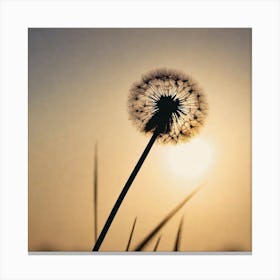 Dandelion At Sunset Canvas Print