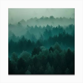 Foggy Forest 6 Canvas Print