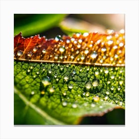 Close Up Of A Leaf With Water Droplets Canvas Print