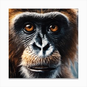 Chimpanzee Portrait 26 Canvas Print