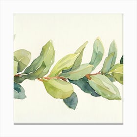 Eucalyptus Branch Canvas Print