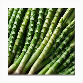 Green Asparagus 2 Canvas Print