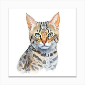 Bengal Marbled Cat Portrait 3 Canvas Print