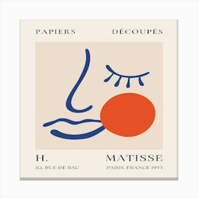 Matisse (17) Canvas Print