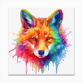 Colorful Fox 5 Stampe su tela