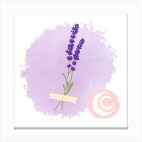 Lavender (Water Flower) Canvas Print