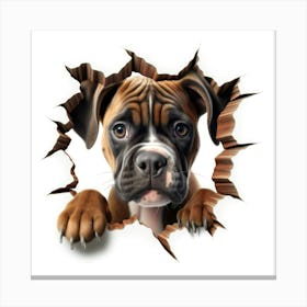 Boxer Dog 1 Canvas Print