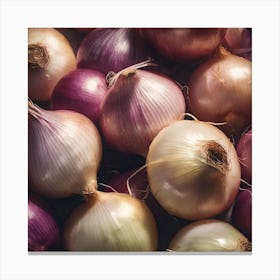Onion Bunches Canvas Print