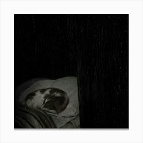 Cat In The Dark Canvas Print