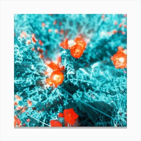 Blue and Mallow Canvas Print