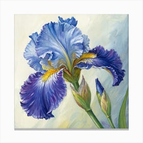 Blue Iris 4 Canvas Print