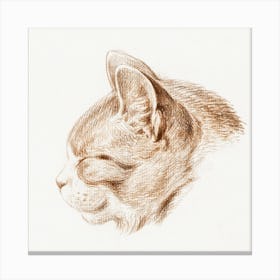 Sketch Of A Cat (1813), Jean Bernard Canvas Print