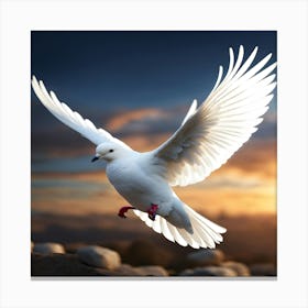 Dove In Flight Canvas Print