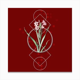 Vintage Sword Lily Botanical with Geometric Line Motif and Dot Pattern n.0291 Canvas Print