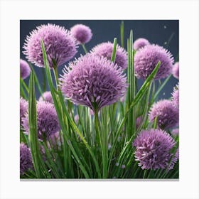 Purple Chives 2 Canvas Print