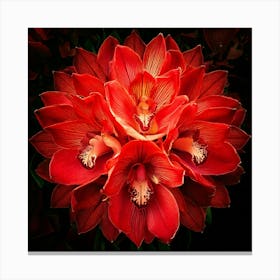 Firefly Explosion, Red, Orchids, Vibrant, Colorful, Floral, Dynamic, Dramatic, Vivid, Petals, Burst, (10) Canvas Print