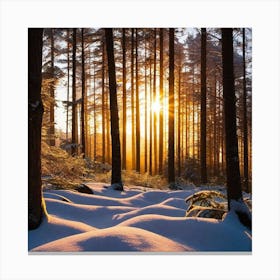 Sunrise In The Forest 40 Canvas Print